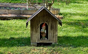 Laube, Liebe, Hoffnung – Die deutsche – Stephan Grünewald