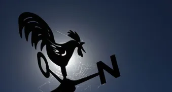 autor stephan gruenewald ueber eine aufgewuehlte gesellschaft