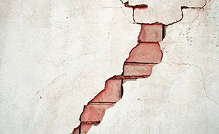 Das Wüten der Wähler