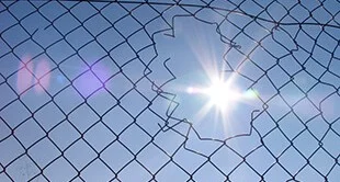 die sehnsucht nach umzaeunung waechst