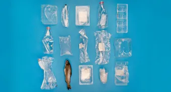 die tuete ist das duerre ende einer problemkette