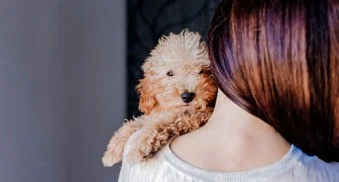 Ein großer Teil der Männer zählt zum Typus „Schoßhund“ - ein grosser teil der