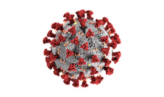 Erregung schneller als der Erreger