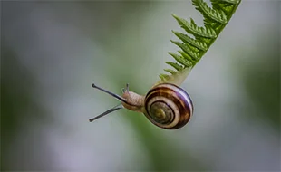 Vertrauen ist der Schlüssel – Stephan Grünewald