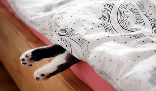 Heimliche Sehnsucht nach dem Lockdown? Stille – Stephan Grünewald