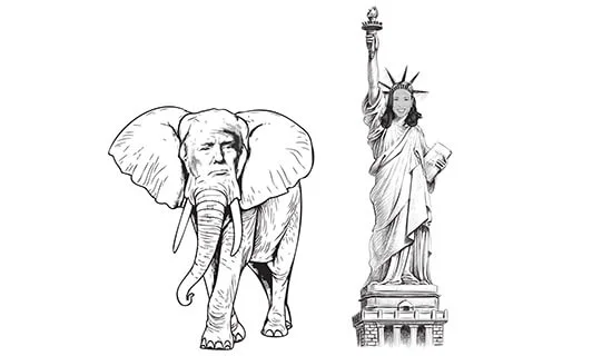 Totem-Tier im Porzellanladen