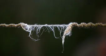 wie kann die gesellschaftliche spaltung ueberwunden werden