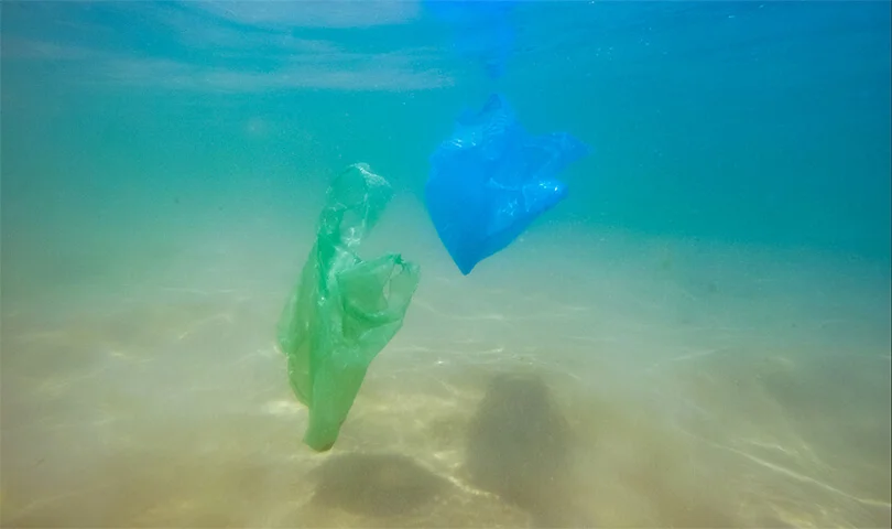 Die Plastiktüte kommt nicht zurück